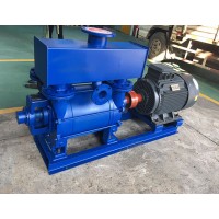 2be Series Liquid Ring Water Ring Single Stage Vacuum Pump for Petrifaction Industry